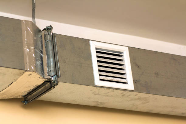 Best Professional Duct Cleaning Services  in Rising Sun Lebanon, DE